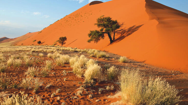 Rundreisen Namibia: Wildnis erleben: Von Dünen zu Savannen