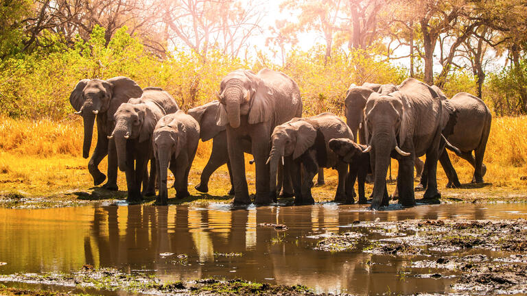 Rundreisen Namibia, Botswana & Simbabwe: Die Seele Afrikas hautnah erleben