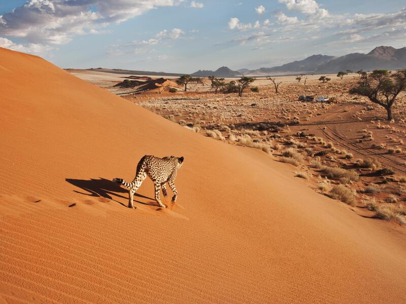 Rundreisen Namibia, Botswana & Simbabwe: Zwischen Wildnis & Wasserfällen – Rückflug ab Johannesburg 13-tägig inkl. Flüge Boutiquehotels/Lodges bzw
