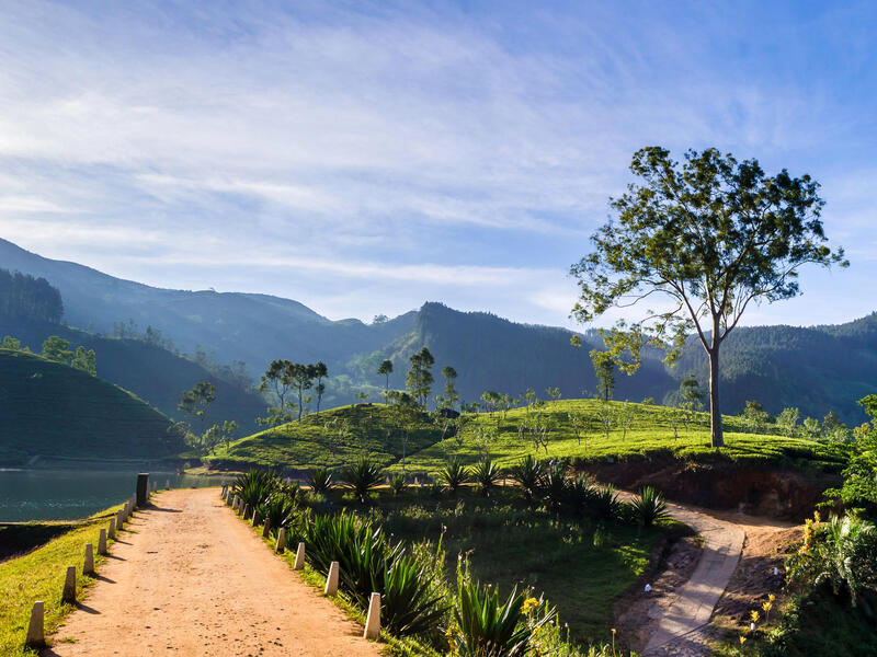 Rundreisen Sri Lanka: Zwischen Tempeln und Teeplantagen 10-tägig inkl. Flüge 3.5-Sterne/4-Sterne-Hotels mit Halbpension Inkl. Ausflüge i. W. v. ca.