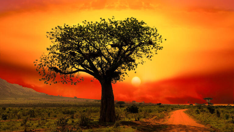 Rundreisen Kenia: Für Einsteiger - Safari trifft Indischer Ozean