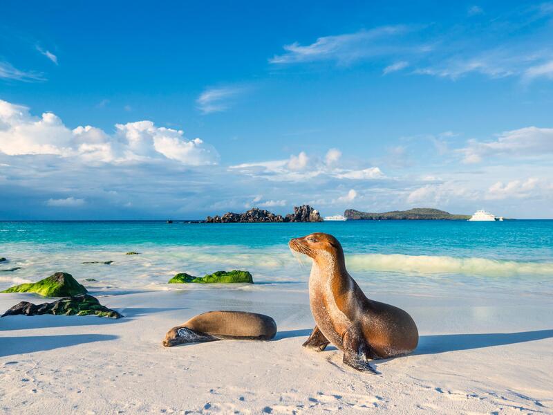 Rundreisen Ecuador & Galápagos-Inseln: Naturwunder hautnah erleben 13-tägig inkl. Flüge Mittelklassehotels mit Frühstück Inkl. Ausflüge, Eintrit