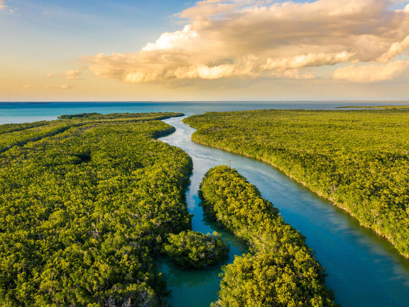 Rundreisen USA – Florida: Sonne, Natur & Abenteuer 9-tägig inkl. Flüge Mittelklassehotels mit Frühstück Inkl. Ausflüge, Aktivitäten und Parkeint
