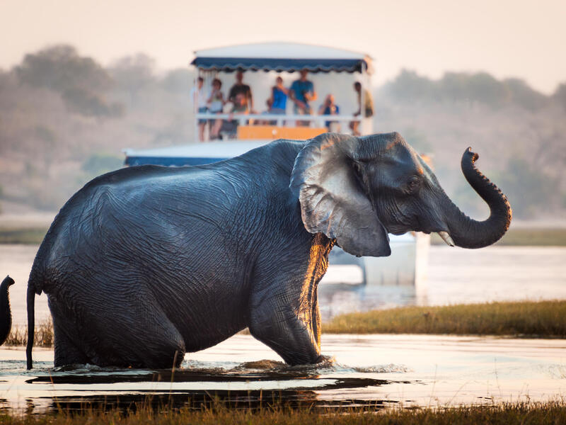 Kombinationsreisen Südafrika, Botswana & Simbabwe: Safari, Wasserfälle & Kulturerbe entdecken 16-tägig inkl. Flüge Mittelklassehotels/Lodges mit F