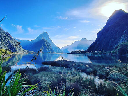 18 Tage Rundreisen Neuseeland: Von der wilden Westküste bis zum Milford Sound 18-tägig inkl. Flüge Mittelklassehotels mit Frühstück Inkl. Bootsfahrt im m