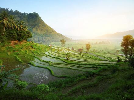 Rundreisen Indonesien - Bali: Zwischen Dschungelklängen und Wellenrauschen mit Entspannung im 4-Sterne-Hotel in Sanur