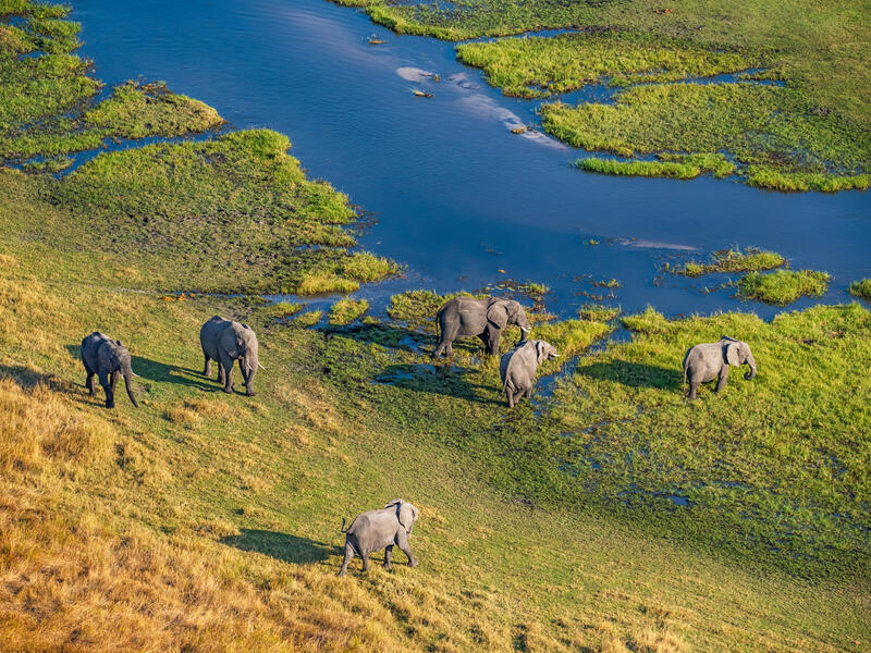Rundreisen Botswana & Simbabwe: Afrika ganz exklusiv bei einer Fly-in-Safari erleben 13-tägig inkl. Flüge Deluxe-Safari-Lodges/4-Sterne-Hotel mit Ve Rundreisen Botswana & Simbabwe: Afrika ganz exklusiv bei einer Fly-in-Safari erleben 13-tägig inkl. Flüge Deluxe-Safari-Lodges/4-Sterne-Hotel mit Ve