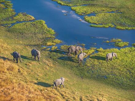 13 Tage Rundreisen Botswana und Simbabwe Afrika ganz exklusiv bei einer Fly-in-Safari erleben