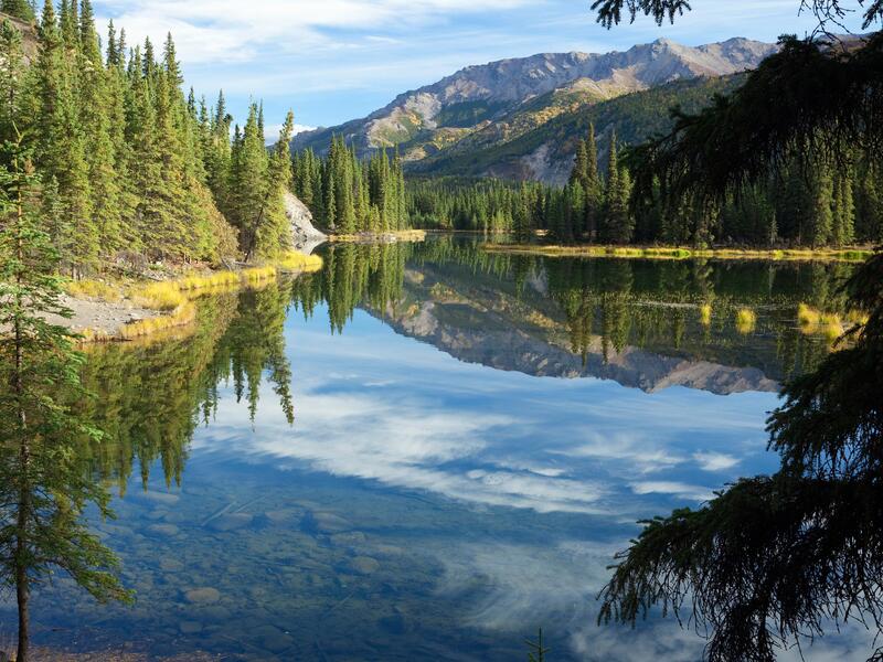 Kombinationsreisen USA – Alaska: Rundreise von Anchorage bis Whittier & Kreuzfahrt mit der Nieuw Amsterdam 12-tägig inkl. Flüge Mittelklassehotels o