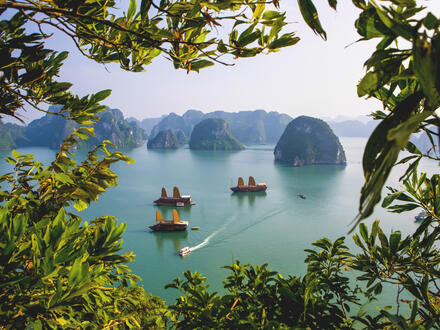15 Tage Erlebnisreisen Vietnam: Von der Dschunke ins Dschungelgrün