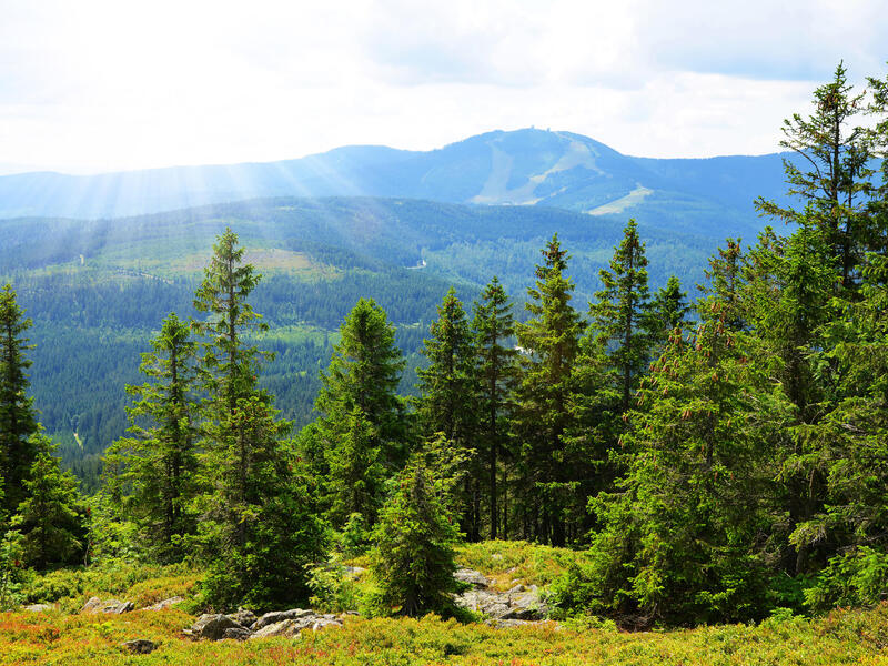 Eigene Anreise Bayerischer Wald – Wegscheid: Ganzjähriger Urlaubsspaß im Landhotel Rosenberger 3, 5 bzw. 7 Nächte Landhotel mit All Inclusive Bis z