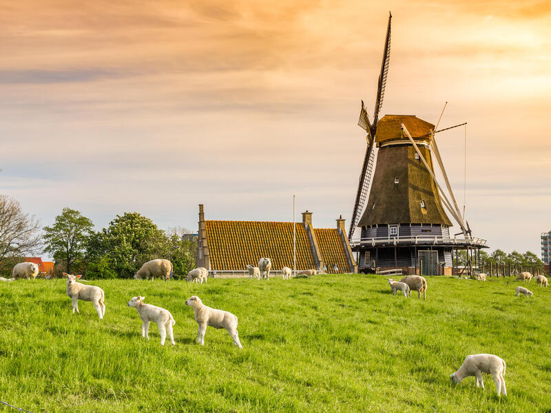 Kreuzfahrten Niederlande – Nordroute: Mit Rad & Schiff MS De Willemstad ab/an Amsterdam 7 Nächte  Premium-Schiff mit Vollpension Inkl. Leihfahrrad i.