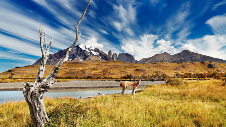 Rundreisen Argentinien & Chile - Patagonien: Expeditionsabenteuer ans Ende der Welt