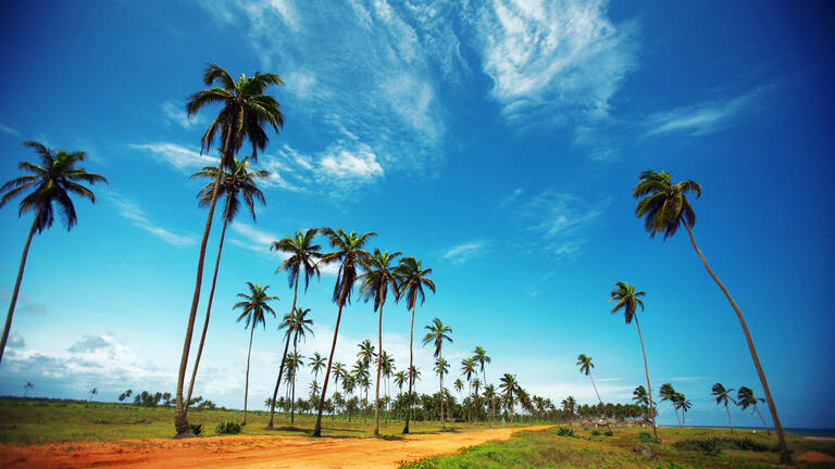 Rundreisen Togo & Benin: Zwischen Lehmburgen & Voodoo