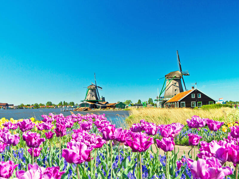 Kreuzfahrten Niederlande – Südroute: Flusskreuzfahrt per Rad & Schiff mit der Arkona ab/an Amsterdam 7 Nächte Premium-Schiff mit Vollpension Inkl. L Kreuzfahrten Niederlande – Südroute: Flusskreuzfahrt per Rad & Schiff mit der Arkona ab/an Amsterdam 7 Nächte Premium-Schiff mit Vollpension Inkl. L