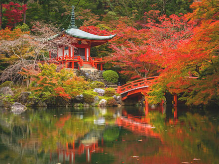 Rundreisen Japan: Gro&szlig;e Eindr&uuml;cke in kleiner Runde - Zen, Z&uuml;ge, Zauber