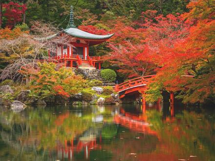 16 Tage Rundreisen Japan: Große Eindrücke in kleiner Runde - Zen, Züge, Zauber