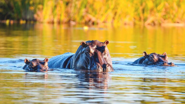 Rundreisen Namibia, Botswana & Simbabwe: Erlebnisse in kleiner Gruppe, großartige Momente in wilder Landschaft