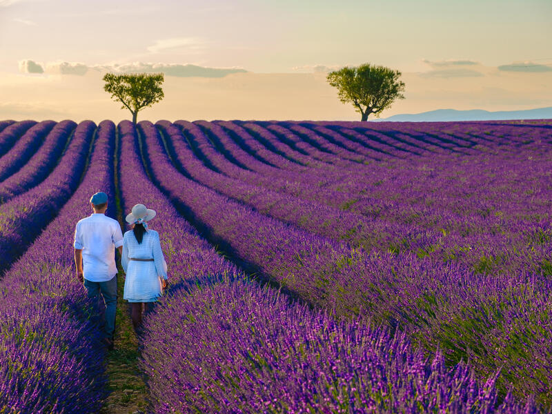 Kreuzfahrten Frankreich – Rhône: Flusskreuzfahrt mit A-ROSA STELLA/LUNA ab/an Lyon 7 Nächte Premium-Plus-Schiff mit Premium alles inklusive Inkl. Au