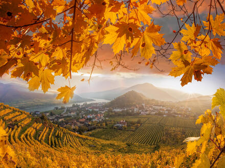 Kreuzfahrten Donau: Flusskreuzfahrt mit A-ROSA RIVA/DONNA ab/an Passau