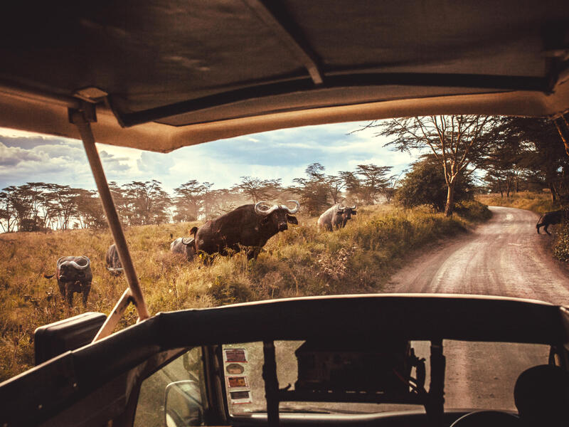 Rundreisen Kenia: Safari-Abenteuer und Traumstrand im Herzen Ostafrikas 17-tägig inkl. Flüge Mittelklasselodges mit Vollpension / 4-Sterne-Hotel mit