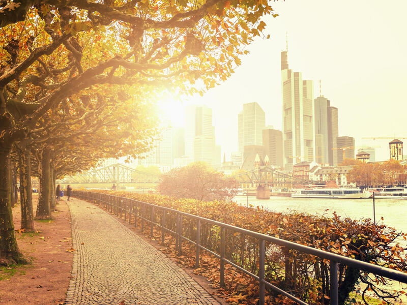 Kreuzfahrten Main: Flusskreuzfahrt mit A-ROSA CLEA ab/an Frankfurt am Main 5 Nächte Premium-Plus-Schiff mit Premium alles inklusive Über Nacht in Fr