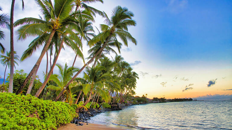 Kreuzfahrten Ozeanien & Hawaii: Kreuzfahrt mit der Crown Princess ab/an Sydney inkl. Vorprogramm in Sydney