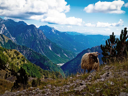 9 Tage Erlebnisreisen Albanien, Nordmazedonien & Kosovo: Einzigartige Entdeckungen im Balkan
