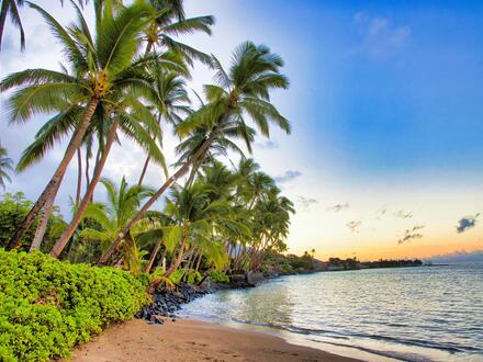 Kreuzfahrten Ozeanien & Hawaii: Kreuzfahrt mit der Crown Princess ab/an Sydney inkl. Vorprogramm in Sydney