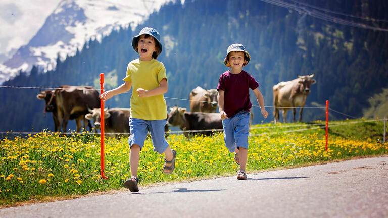 Eigene Anreise Österreich - Salzburger Land: Hotel Salzburgerhof in Maria Alm