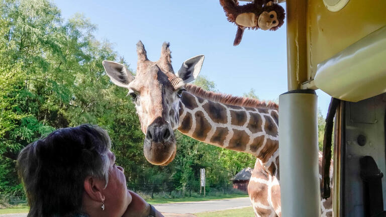 Eigene Anreise Lüneburger Heide - Hodenhagen: Familienerlebnis im Serengeti-Park