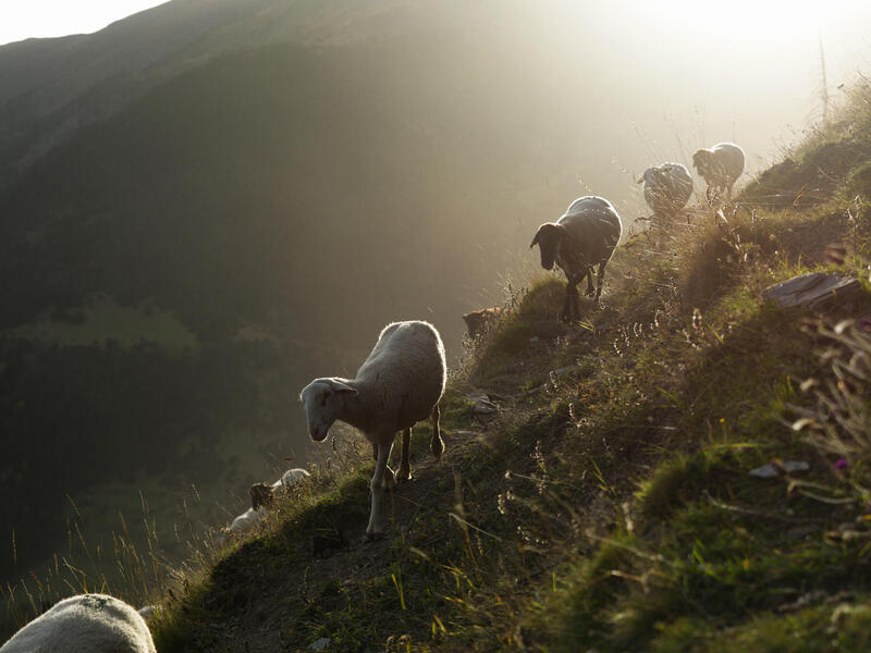 Erlebnisreisen Andorra: Große Natur auf kleinen Wegen – Wanderungen in der Kleingruppe 8-tägig inkl. Flüge 4-Sterne-Hotel mit Verpflegung Inkl. Aus