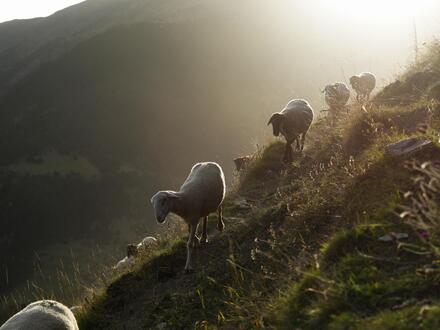 Erlebnisreisen Andorra: Große Natur auf kleinen Wegen - Wanderungen in der Kleingruppe
