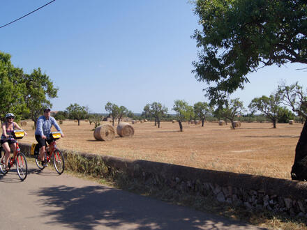 12 Tage Erlebnisreisen Spanien – Mallorca: Auf zwei Rädern zu den Highlights mit Badeausklang am Meer