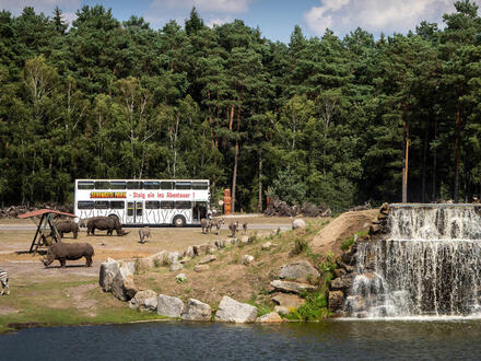 1 Woche Eigene Anreise Lüneburger Heide Hodenhagen Afrika-Abenteuer im Serengeti-Park Frühstück