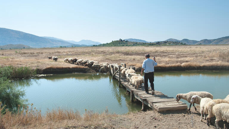 Rundreisen Albanien: Zwischen Bergen, Meeresrauschen und Momenten fürs Herz