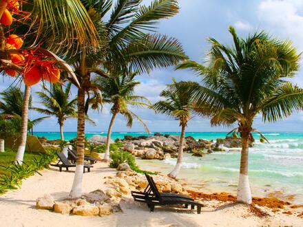 32 Tage Kreuzfahrten Spanien, Transafrika & Mauritius: Kreuzfahrt mit AIDAstella von Palma de Mallorca über Afrika bis Mauritius inkl. 3 Nächte Mauritius