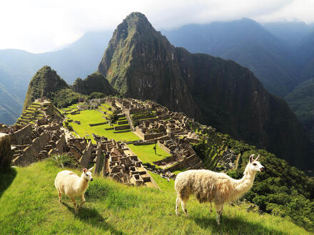 Kreuzfahrten SÃ¼damerika & Antarktis: Peru-Rundreise inkl. Kreuzfahrt mit Oosterdam ab Santiago de Chile an Buenos Aires & Brasilien-Rundreise