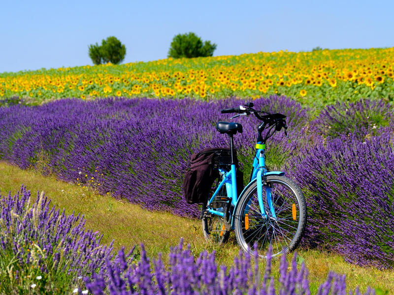 Eigene Anreise Frankreich – Provence: Auf den Spuren der Römer radeln 7 bzw. 8 Nächte 3-Sterne-Hotels mit Frühstück Inkl. Gepäcktransfer von Hote