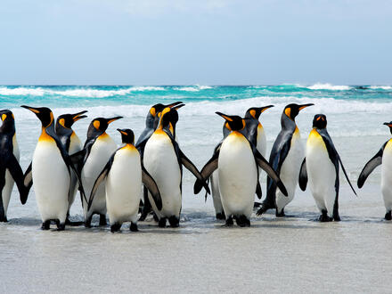 Kreuzfahrten SÃ¼damerika: Kreuzfahrt mit der Majestic Princess von Buenos Aires bis Santiago de Chile