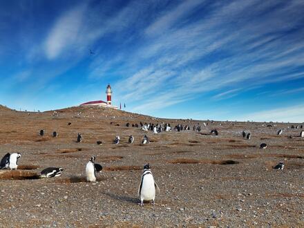Kreuzfahrten SÃ¼damerika: Kreuzfahrt mit Oosterdam ab Buenos Aires an Santiago de Chile