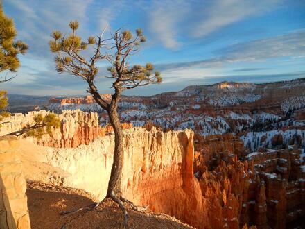 14 Tage USA-Rundreise - Westküste - Entlang der Route 66 - Von Las Vegas bis zum Grand Canyon Frühstück