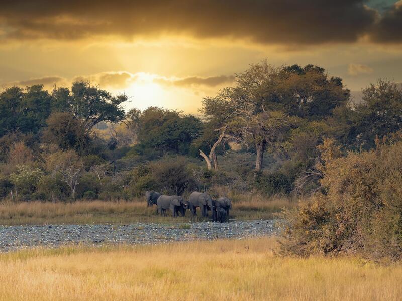 Rundreisen Namibia, Botswana & Simbabwe: Safariwelten und Naturwunder des südlichen Afrikas 16-tägig inkl. Flüge Mittelklassehotels/Lodges mit Frü