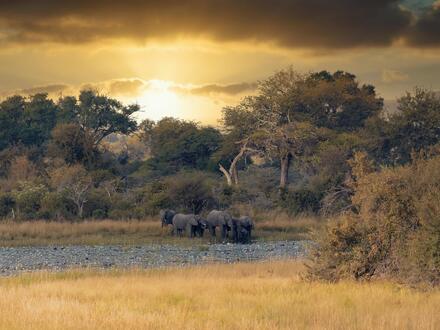 16 Tage Rundreisen Namibia, Botswana und Simbabwe Safariwelten und Naturwunder des südlichen Afrikas Frühstück