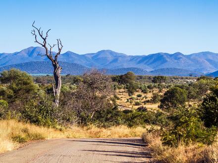 Kreuzfahrten Transafrika: Kreuzfahrt mit der MSC Armonia von Venedig bis Durban inkl. SÃ¼dafrika-Rundreise