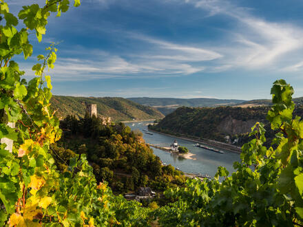 Kreuzfahrten Rhein - Deutschland, Niederlande, Frankreich & Schweiz: Flusskreuzfahrt mit der RHEIN MELODIE von KÃ¶ln bis Basel