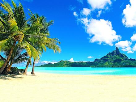 Kreuzfahrten Transpazifik: Kreuzfahrt mit der Quantum of the Seas von Brisbane bis Seattle inkl. Vor- & Nachprogramm