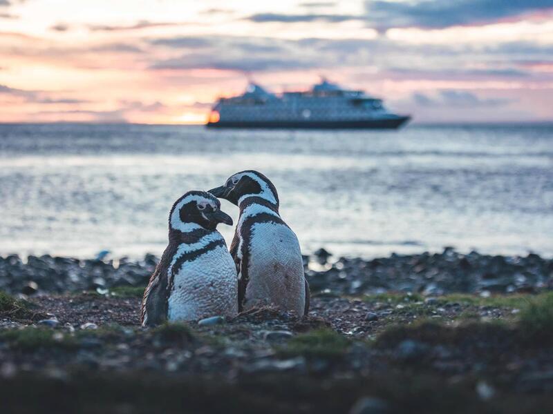Rundreisen Argentinien & Chile - Patagonien: Auf Expedition in die entlegensten Winkel der Erde 15-tägig inkl. Flug Mittelklassehotels/Expeditionskre