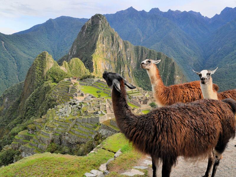 Rundreisen Peru, Bolivien, Chile, Argentinien & Brasilien: Zwischen Gipfeln, Regenwald und Wasserfällen unterwegs 19-tägig inkl. Flüge Mittelklasse
