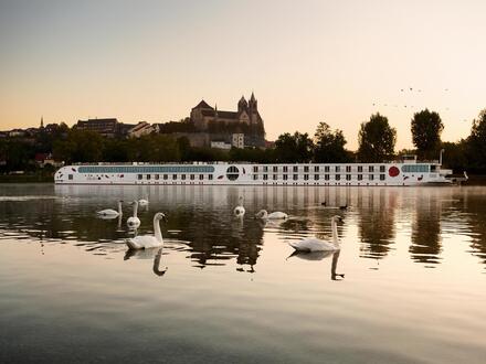 Kreuzfahrten Rhein & Main: Advents-Flusskreuzfahrt mit A-ROSA AQUA ab/an Köln